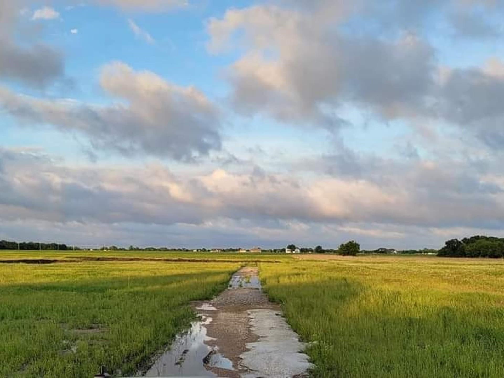 7.53 acres in Collin County - photo 2