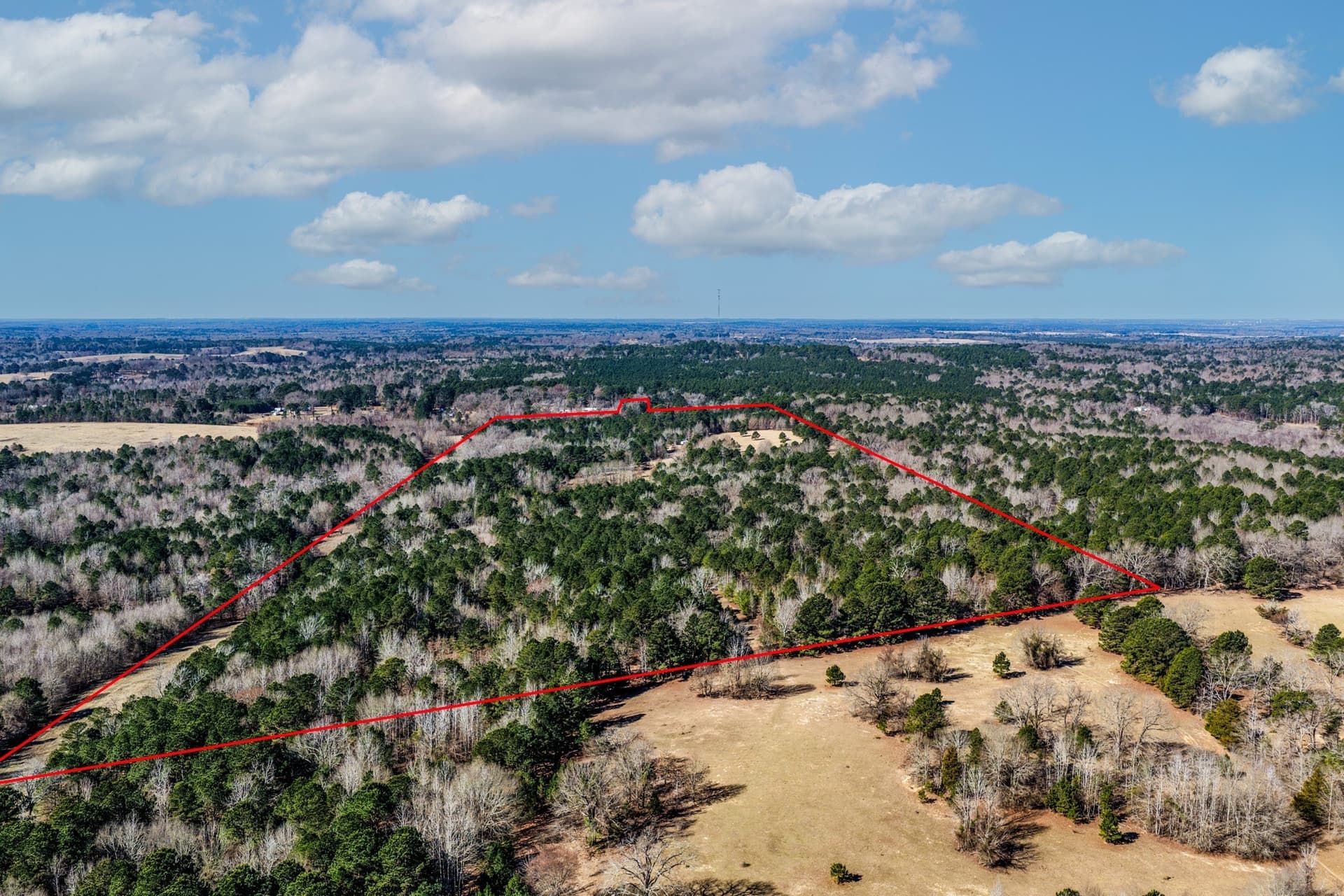 101 acres in Smith County - photo 8
