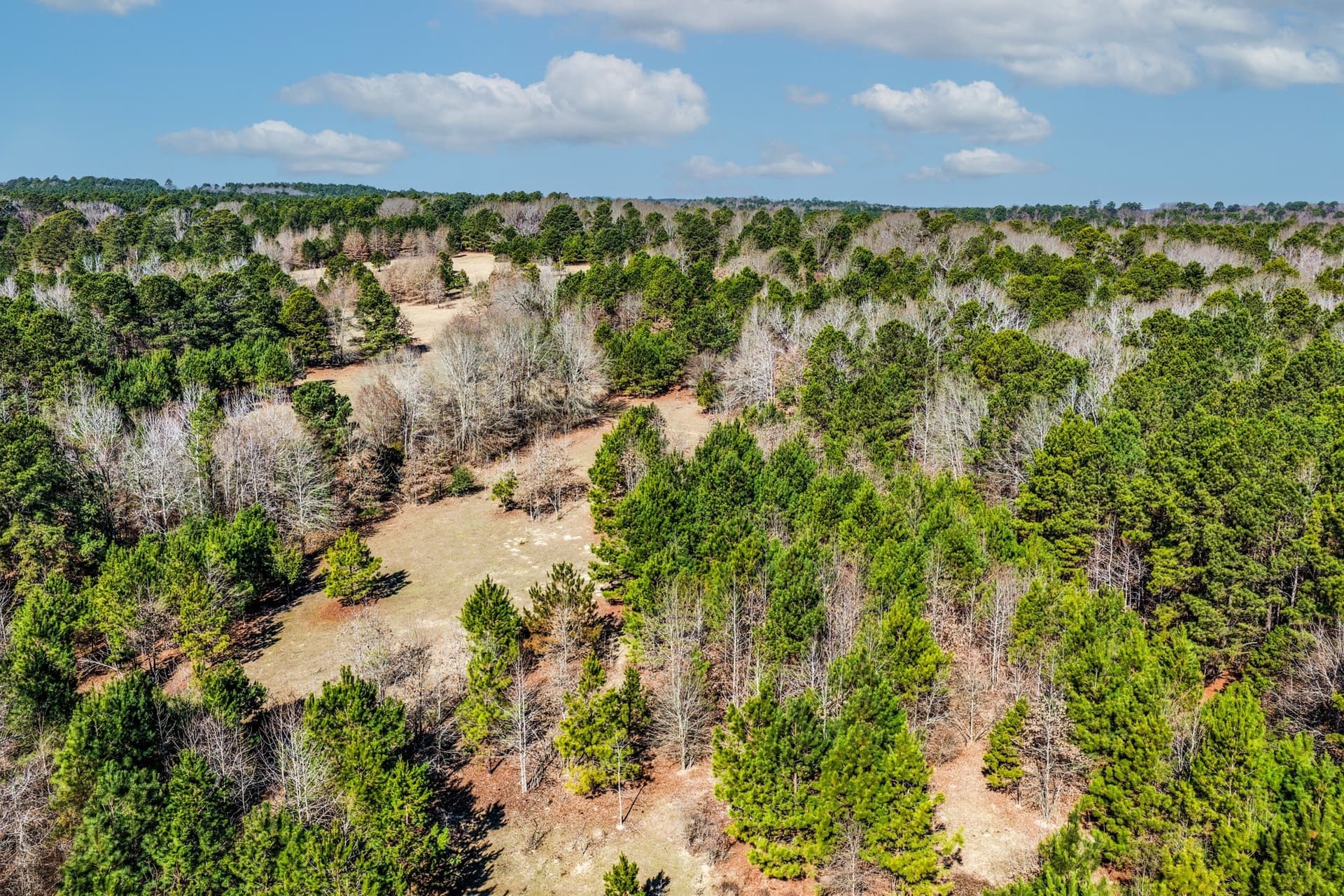 101 acres in Smith County - photo 17