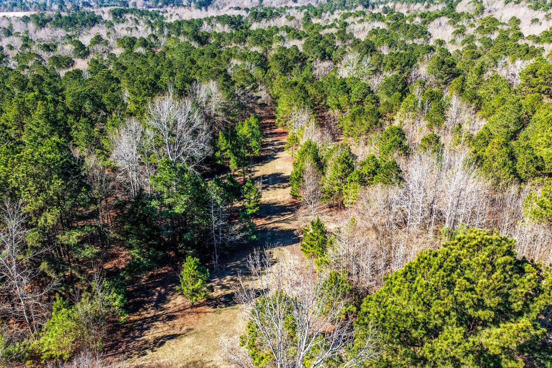 101 acres in Smith County - photo 13