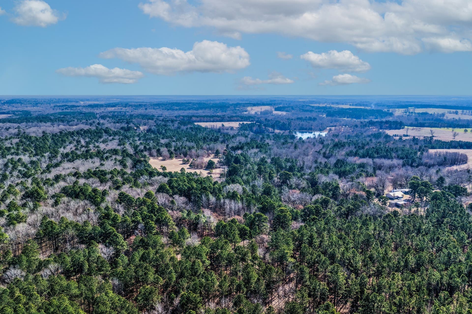 101 acres in Smith County - photo 5