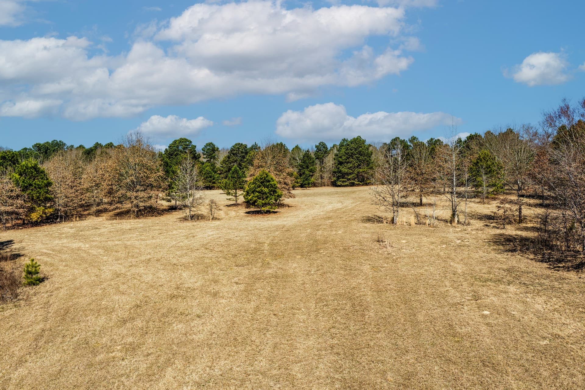 101 acres in Smith County - photo 20