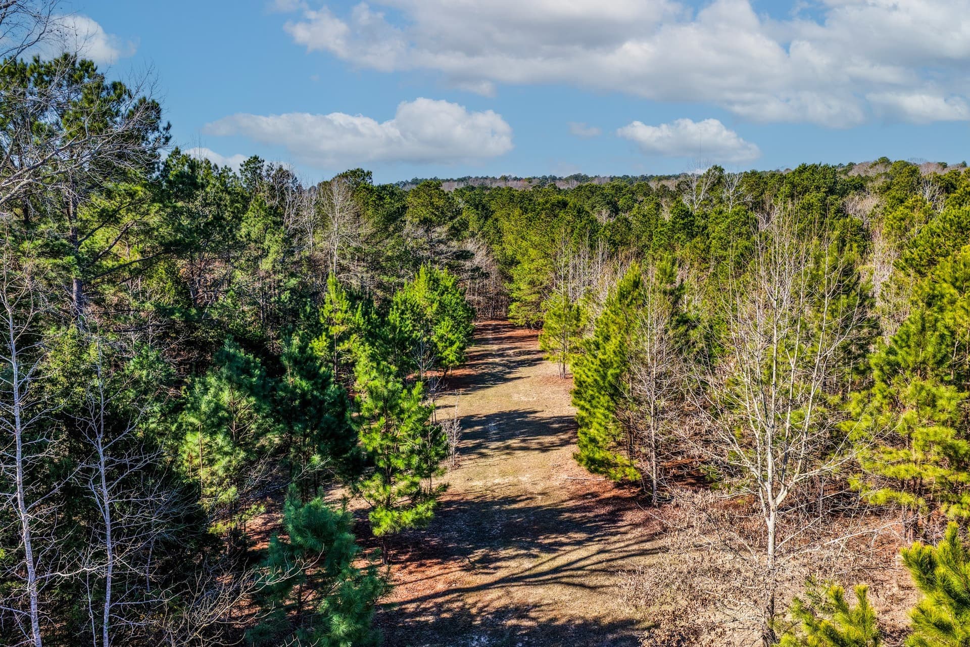 101 acres in Smith County - photo 14