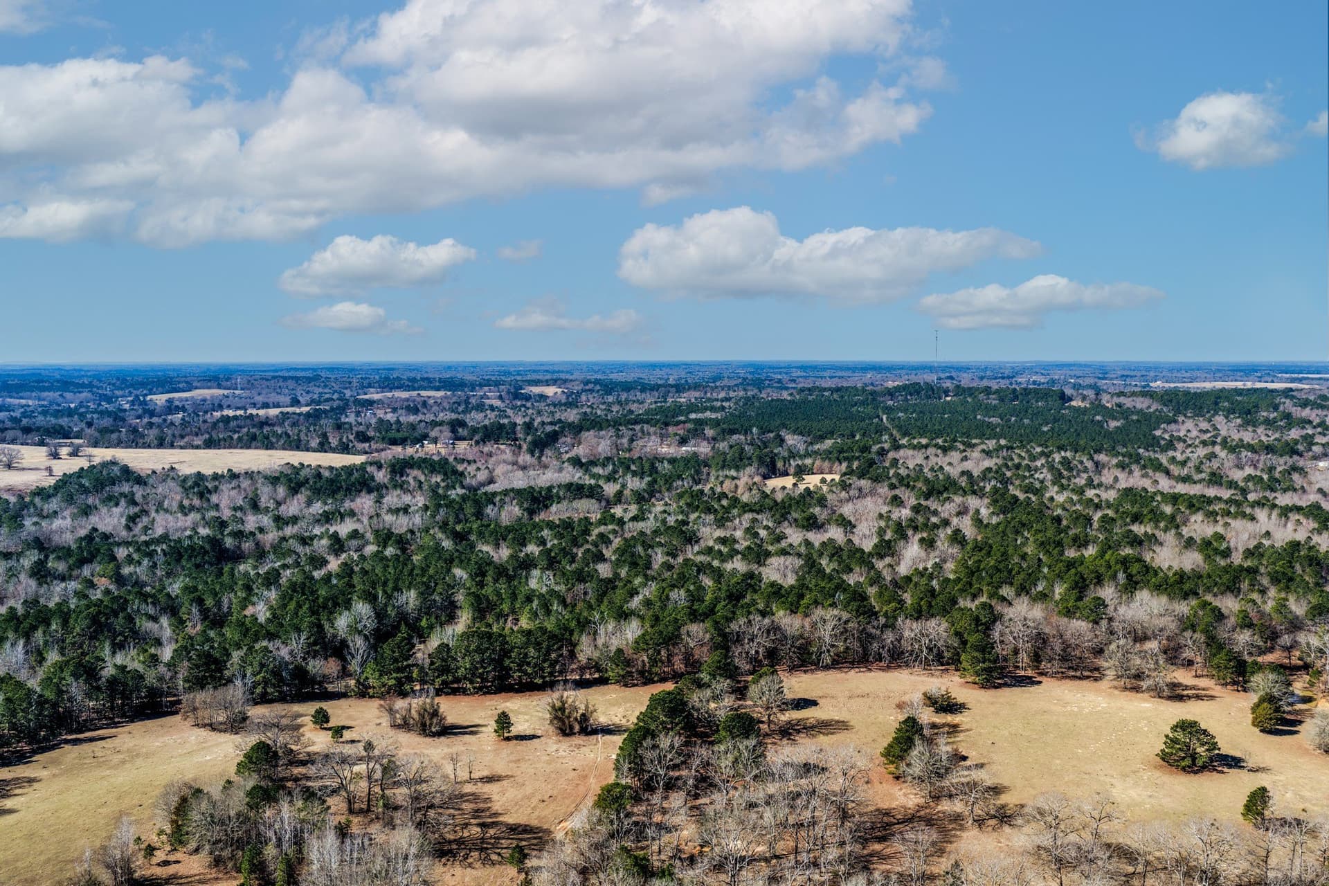 101 acres in Smith County - photo 11