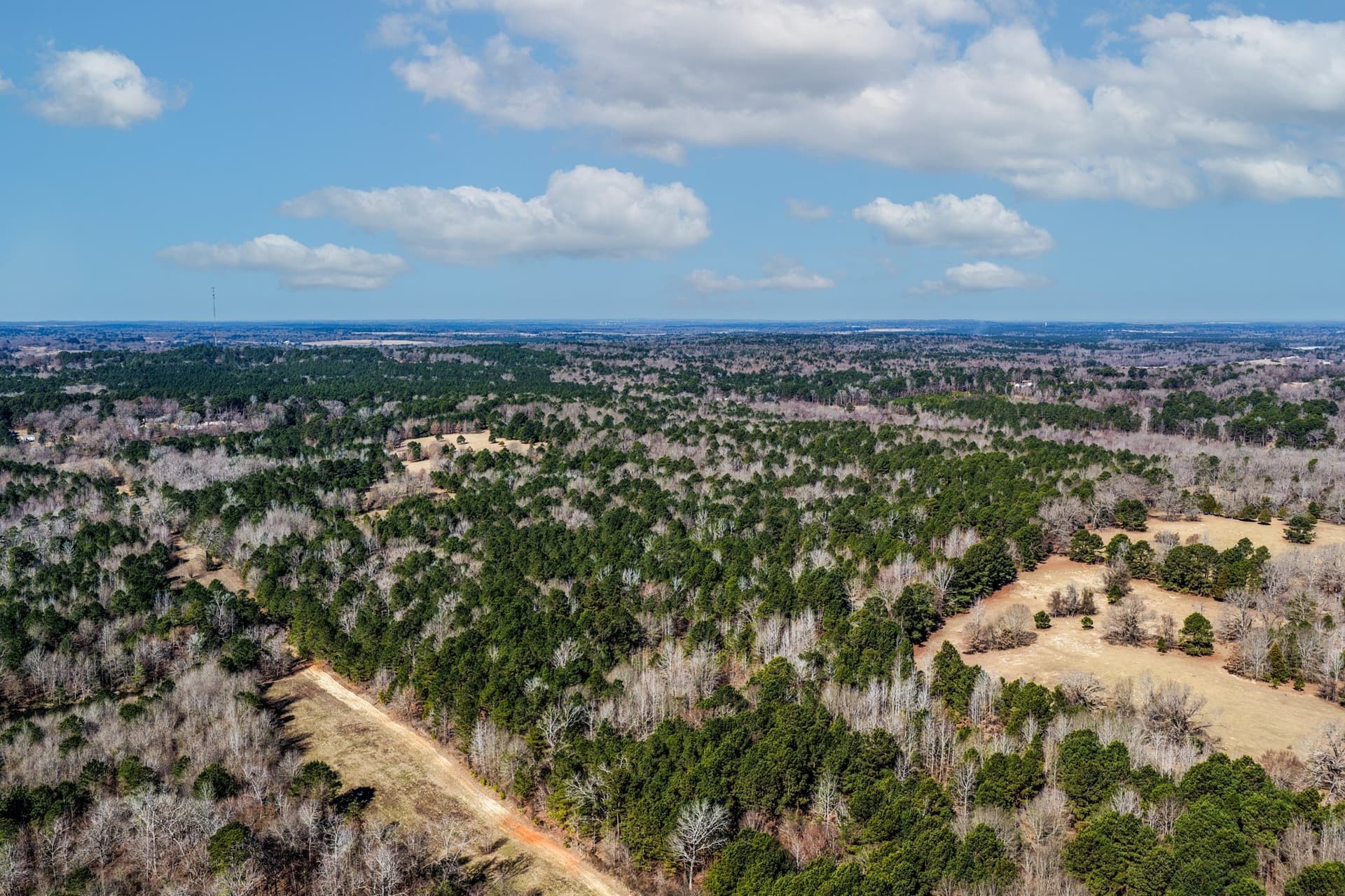 101 acres in Smith County - photo 9