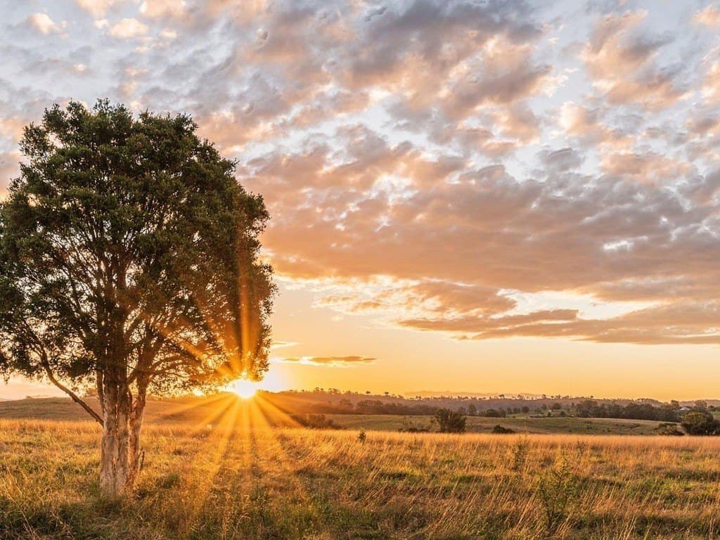 1.29 acres in Colorado County