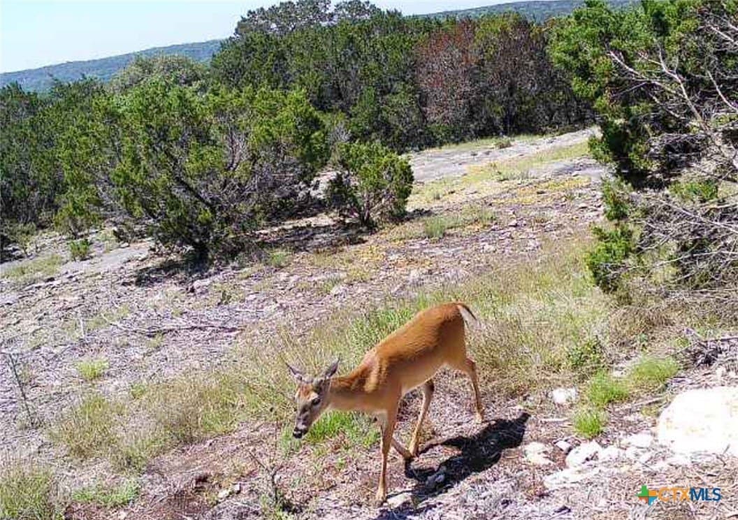 6.05 acres in Coryell County - photo 2