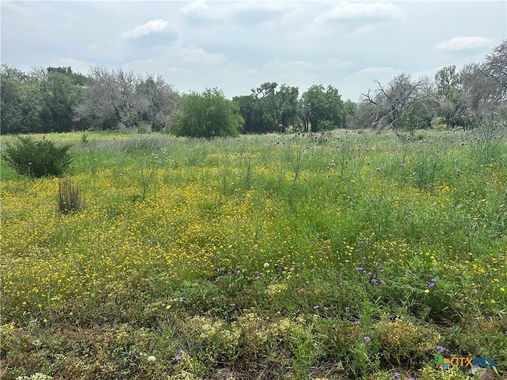 6.05 acres in Coryell County - photo 4