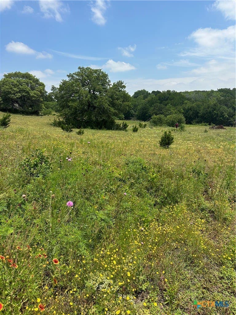 6.05 acres in Coryell County - photo 3
