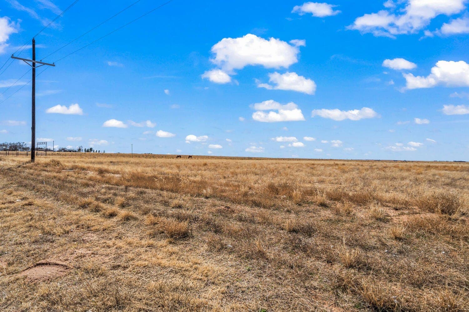 23.57 acres in Hockley County