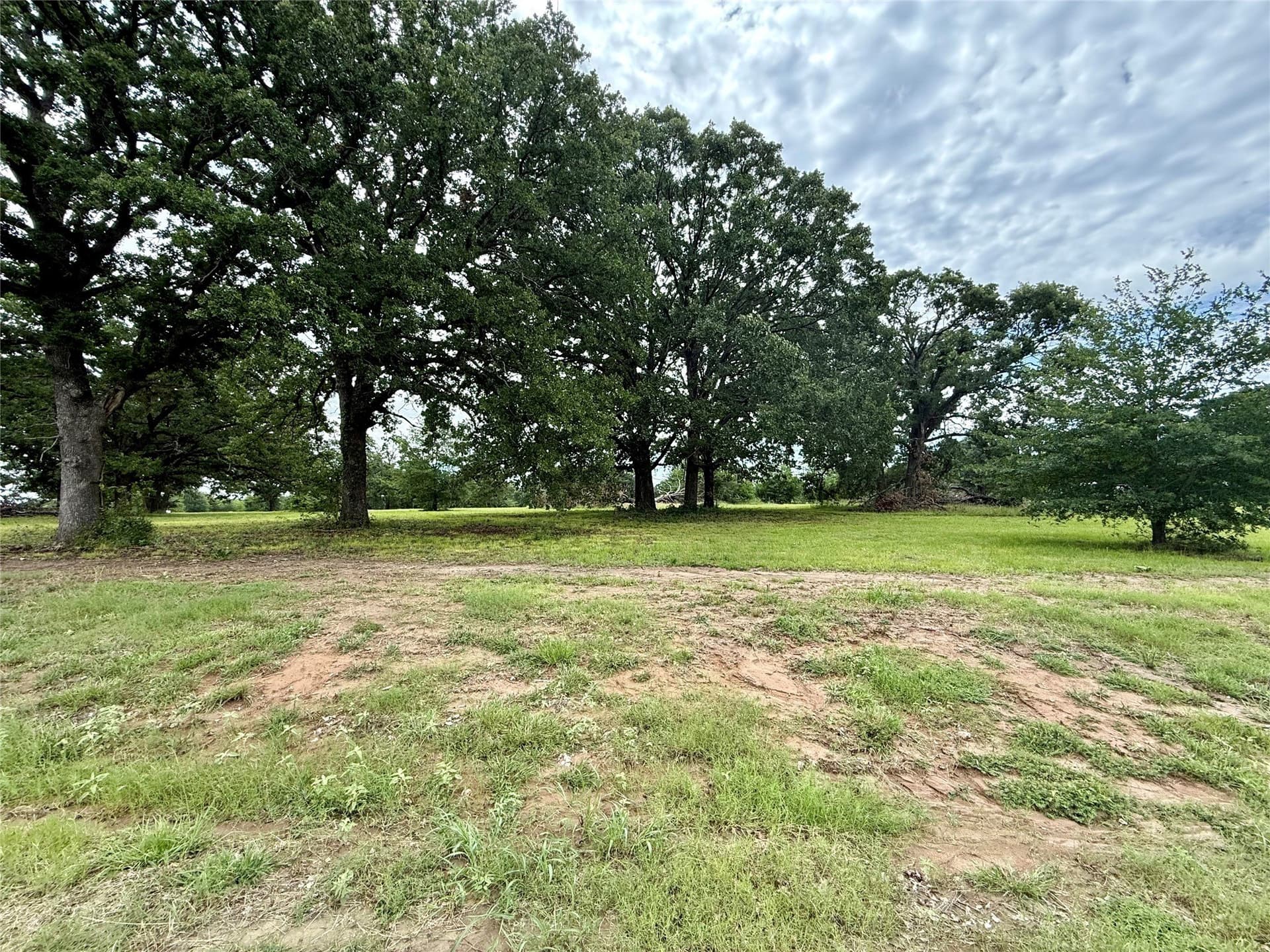 1.01 acres in Fannin County - photo 3