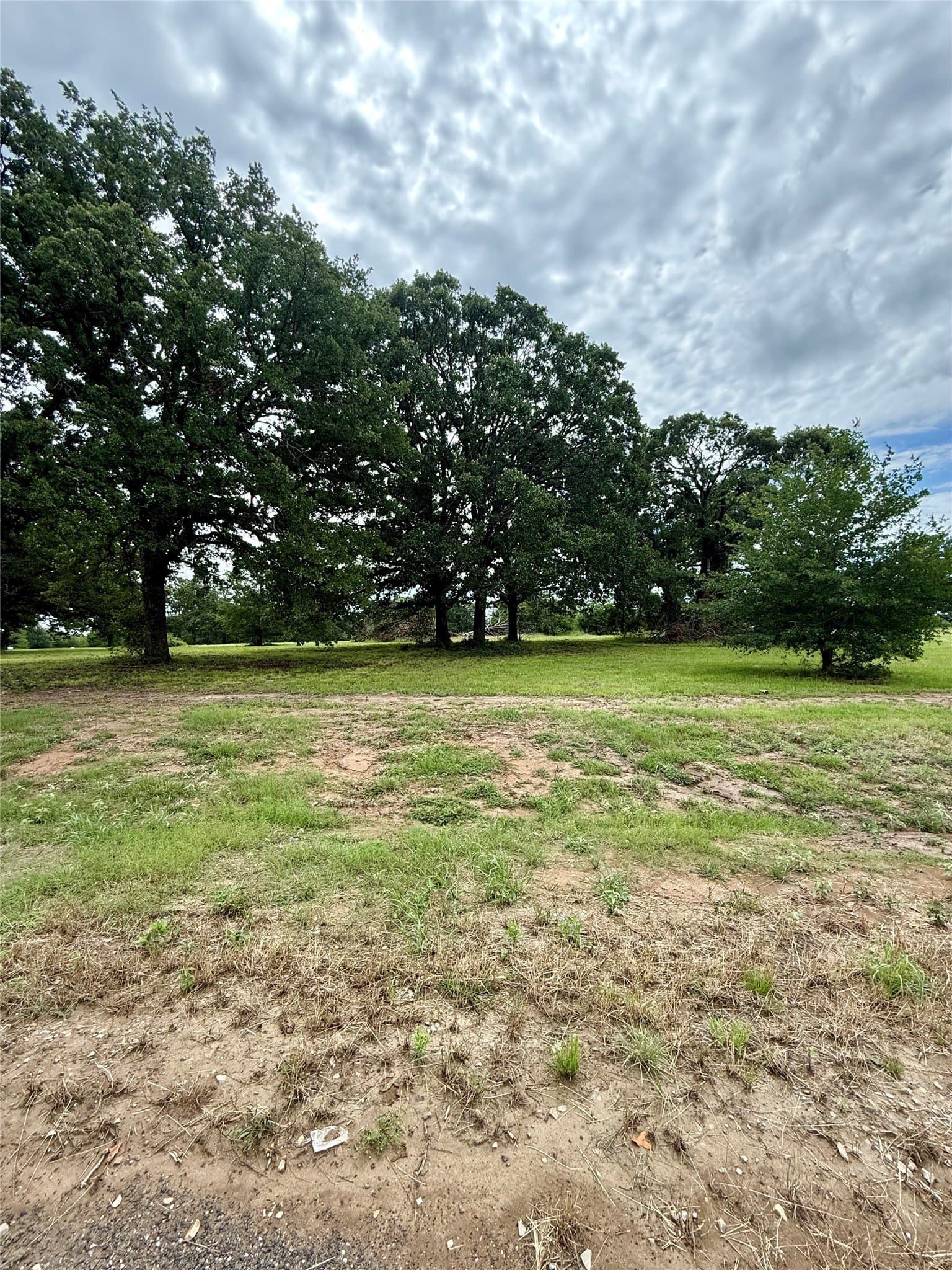 1.01 acres in Fannin County - photo 9
