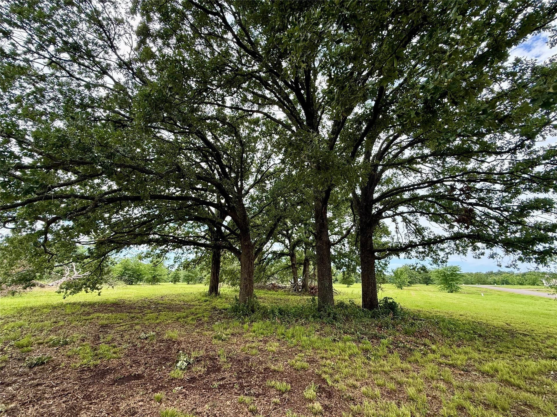 1.01 acres in Fannin County - photo 6