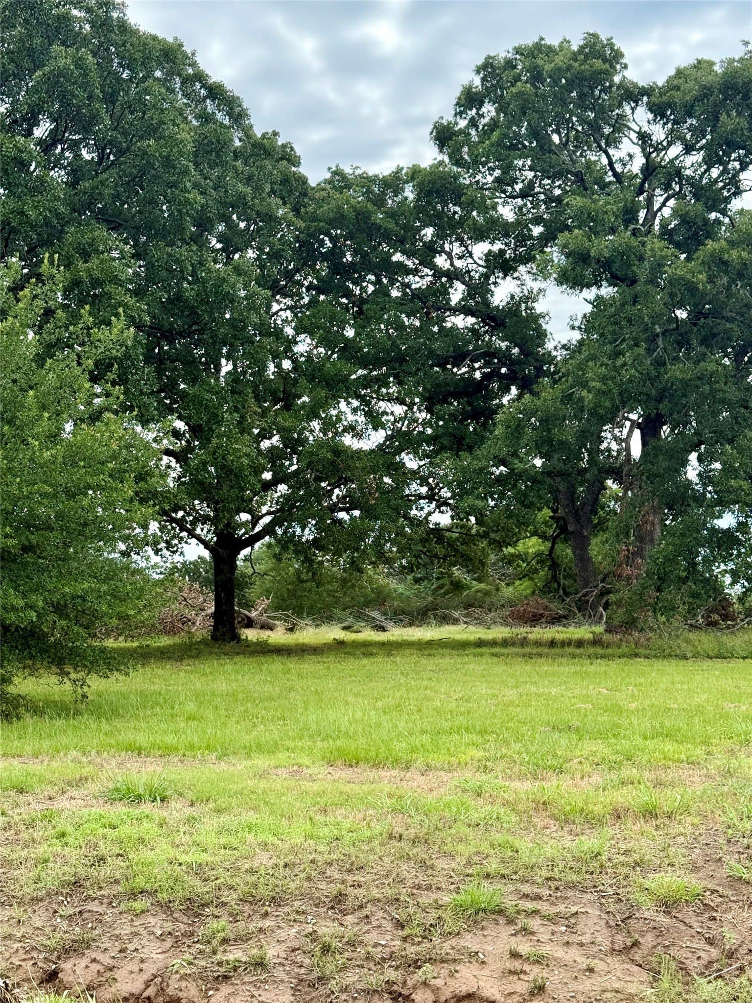 1.01 acres in Fannin County - photo 8