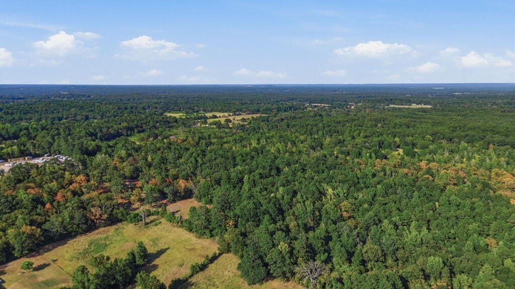 73.86 acres in ANDERSON County - photo 10