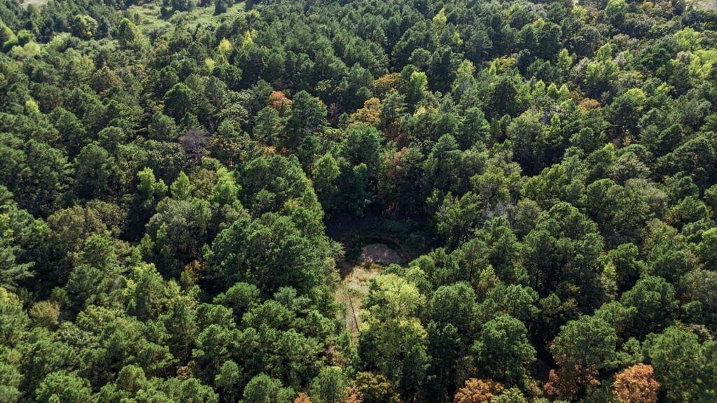 73.86 acres in ANDERSON County - photo 14