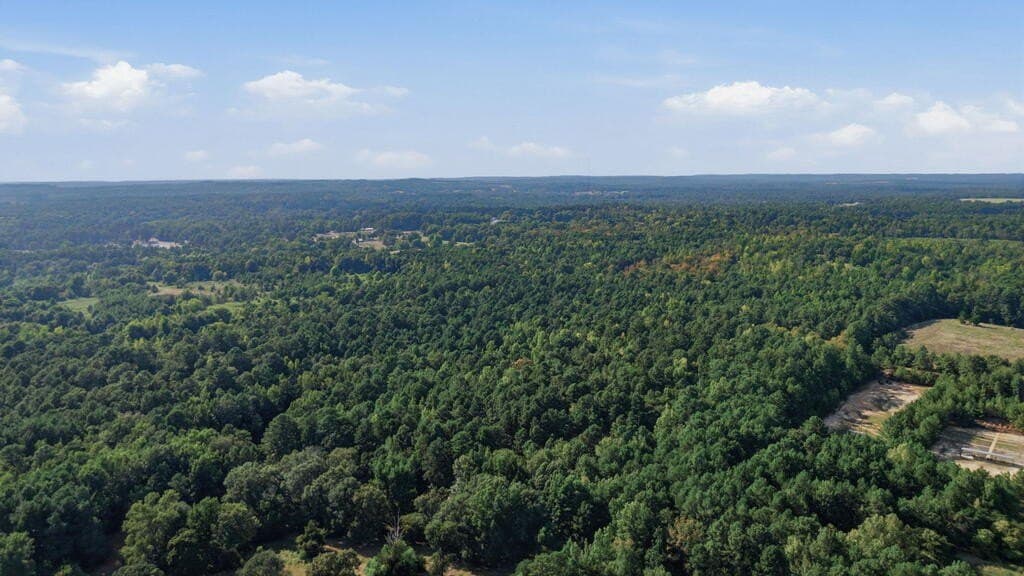 73.86 acres in ANDERSON County - photo 6