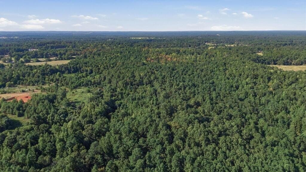 73.86 acres in ANDERSON County - photo 5