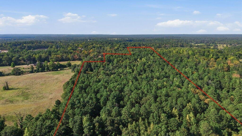73.86 acres in ANDERSON County - photo 3
