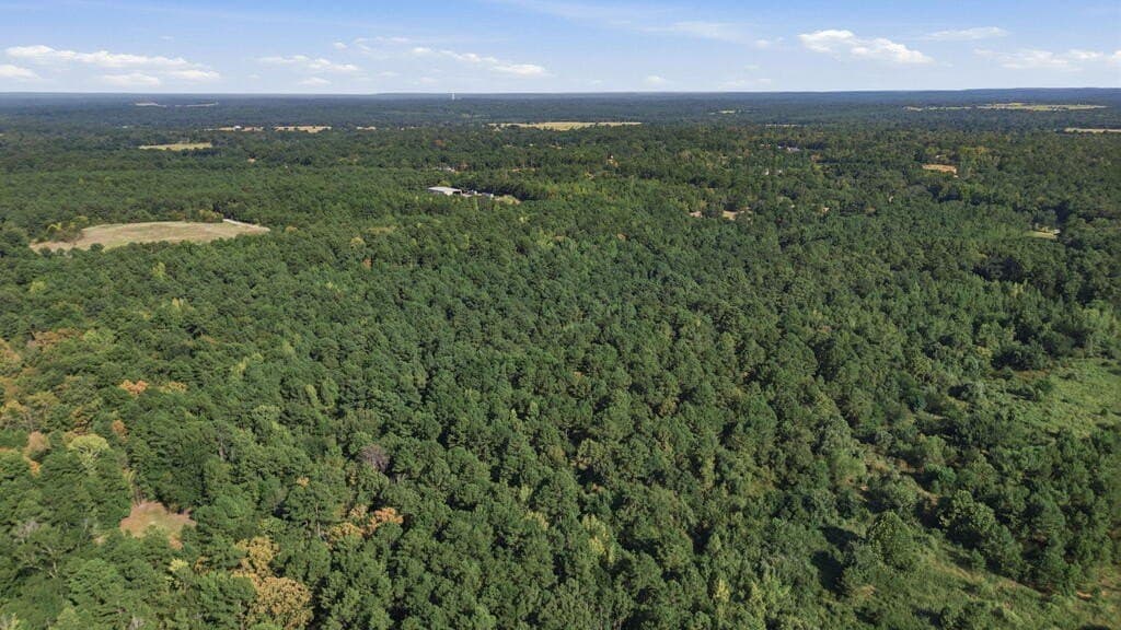 73.86 acres in ANDERSON County - photo 15