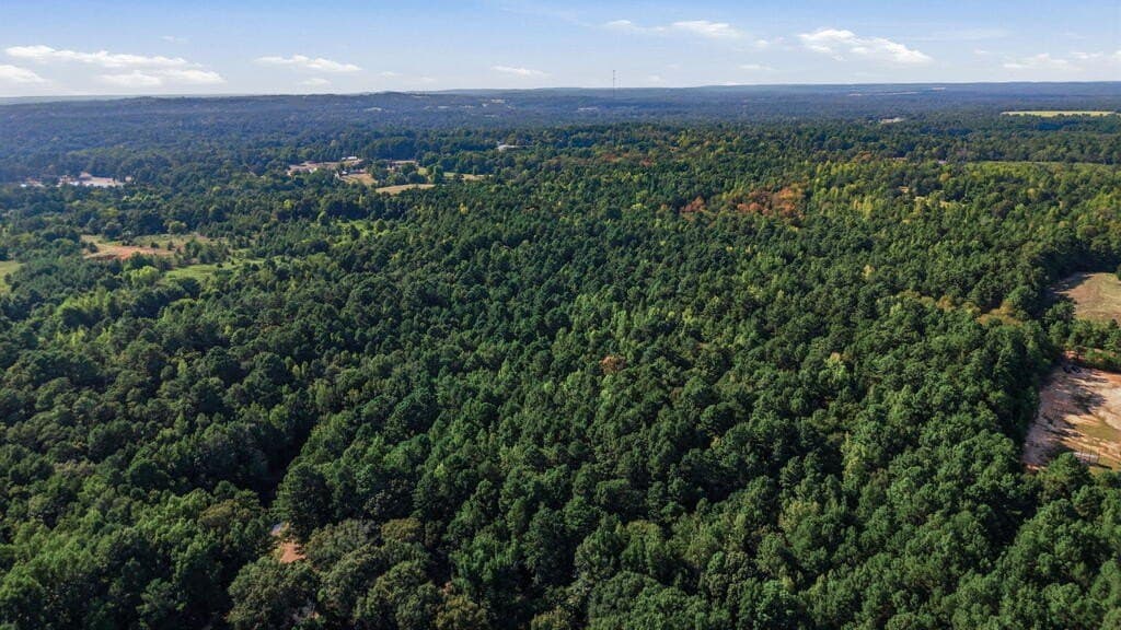 73.86 acres in ANDERSON County - photo 12