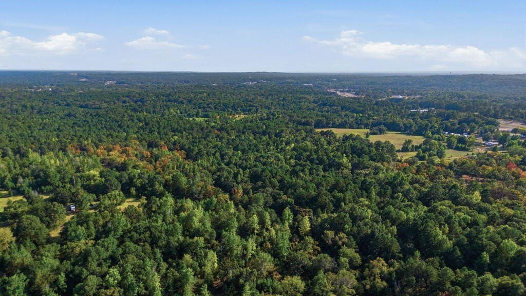 73.86 acres in ANDERSON County - photo 7