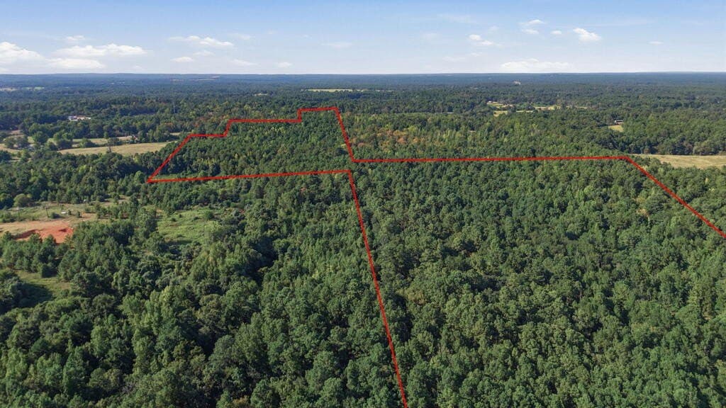 73.86 acres in ANDERSON County - photo 2