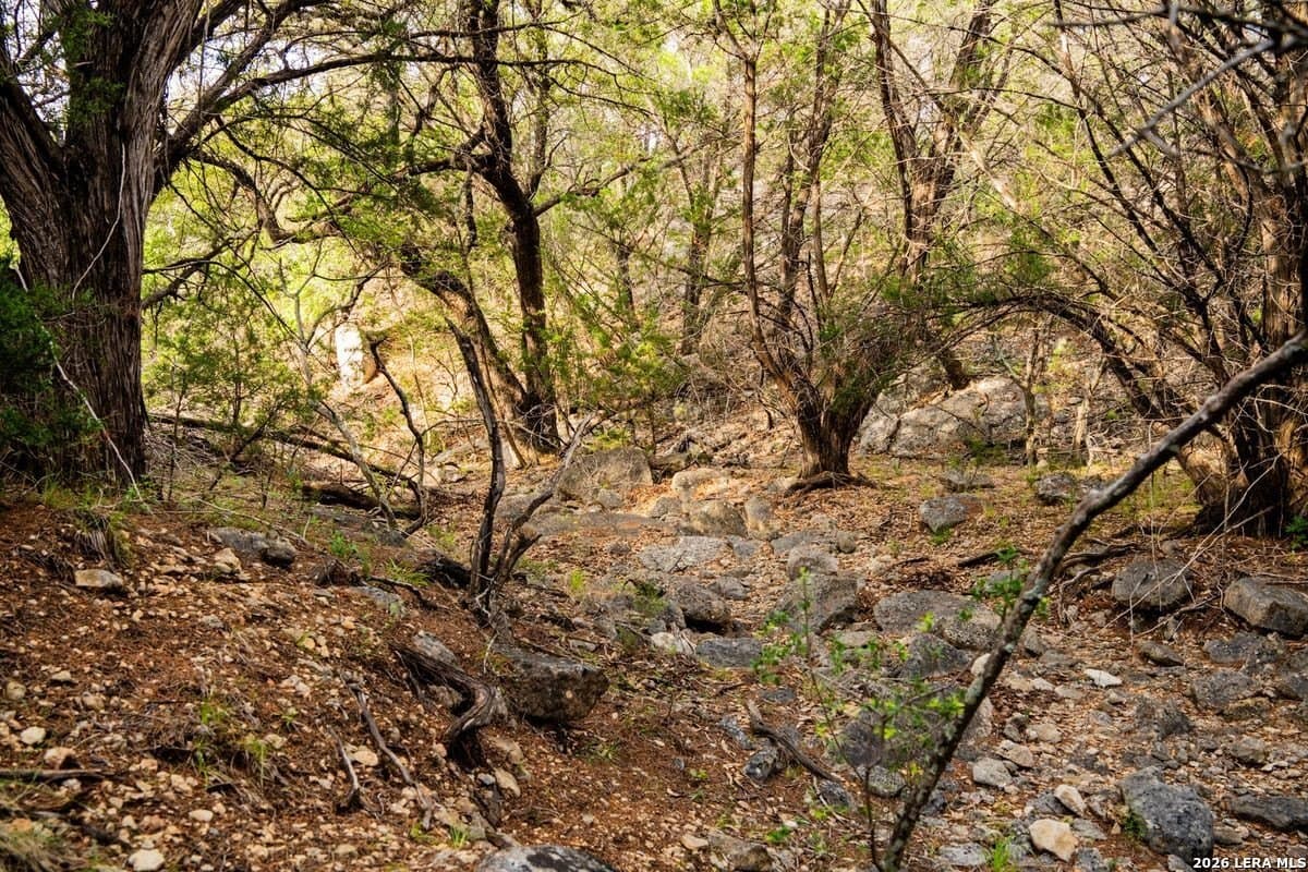 147 acres in Bandera County gallery image 4