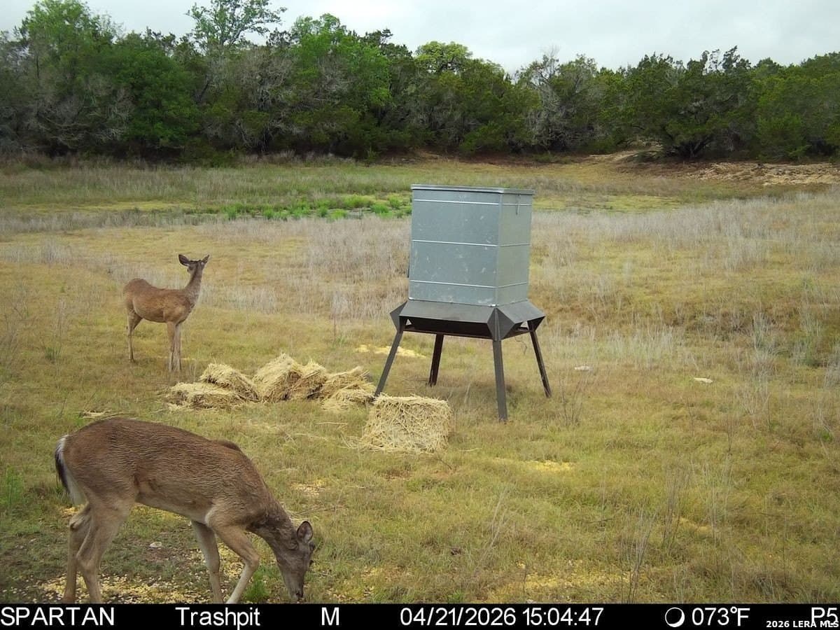 147 acres in Bandera County - photo 38