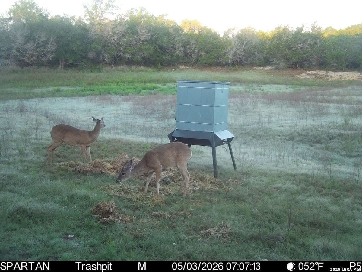 147 acres in Bandera County - photo 40