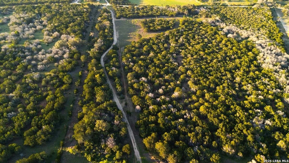 147 acres in Bandera County - photo 11