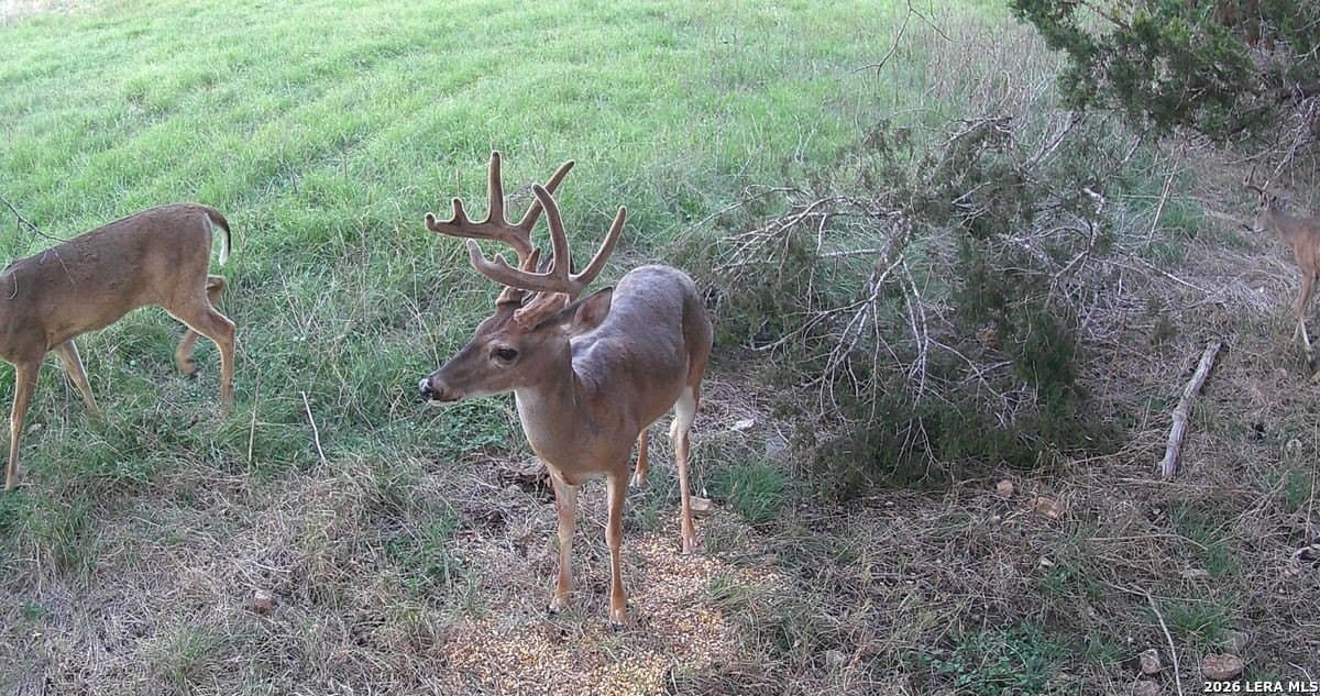 147 acres in Bandera County - photo 20