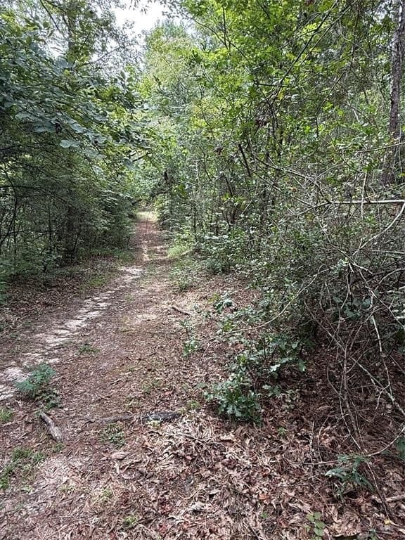 167.28 acres in Leon County featured view
