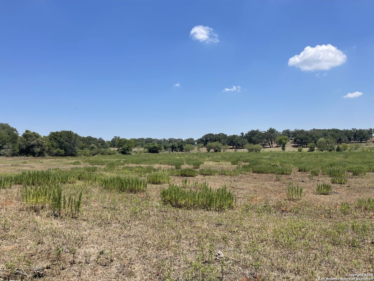11 acres in Wilson County - photo 13