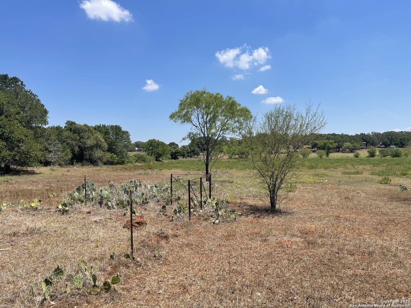 11 acres in Wilson County - photo 20