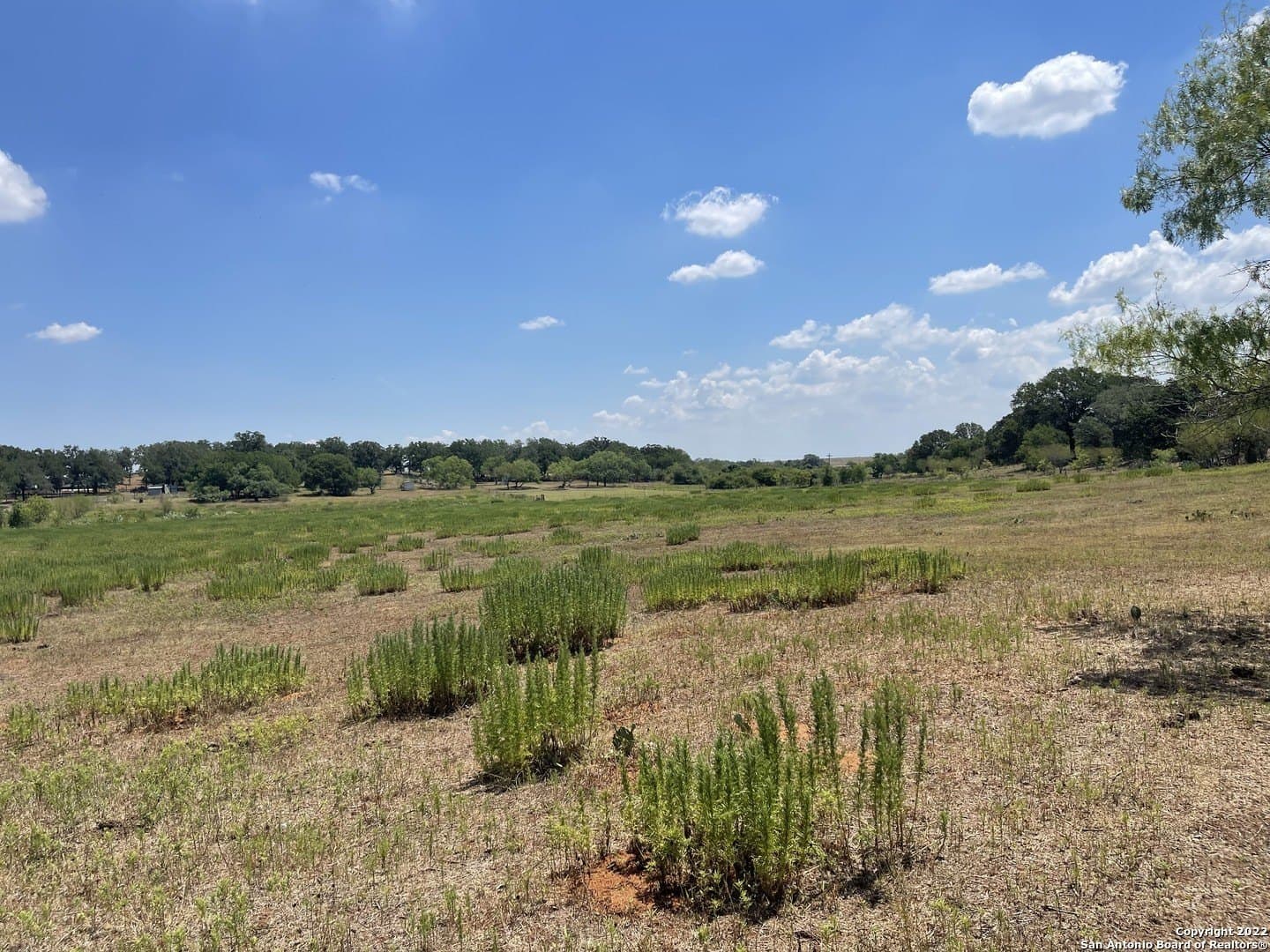 11 acres in Wilson County - photo 14