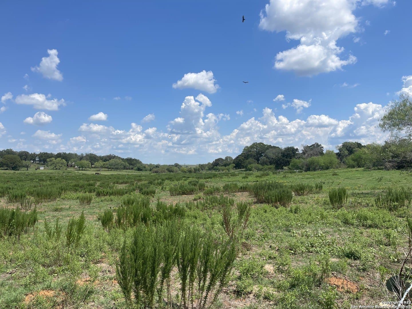 11 acres in Wilson County - photo 4