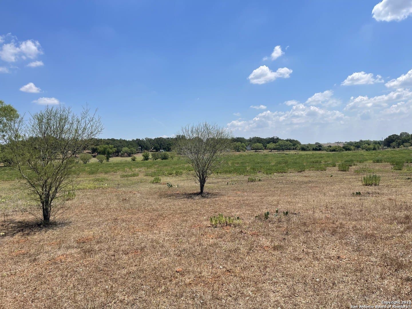 11 acres in Wilson County - photo 21