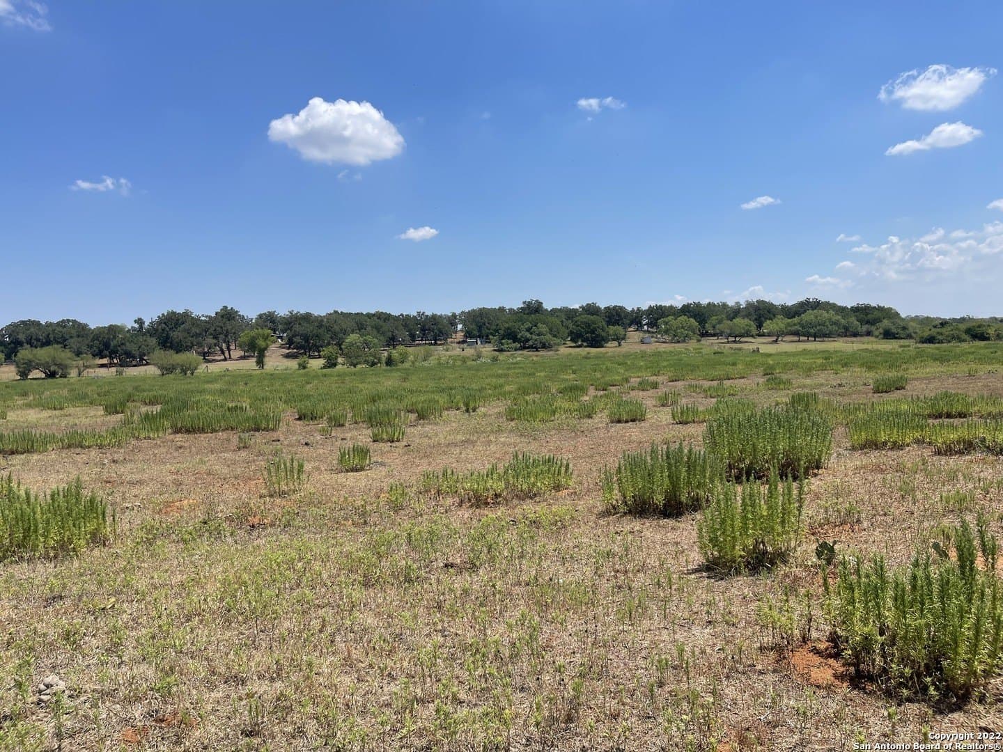 11 acres in Wilson County - photo 12