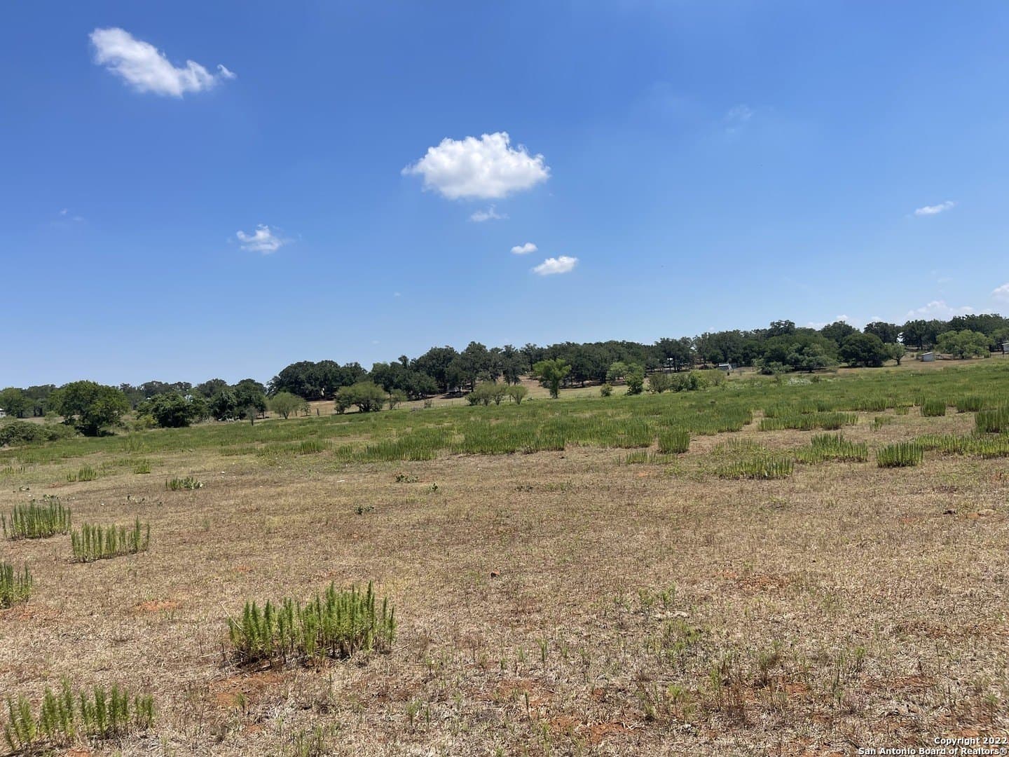 11 acres in Wilson County - photo 15