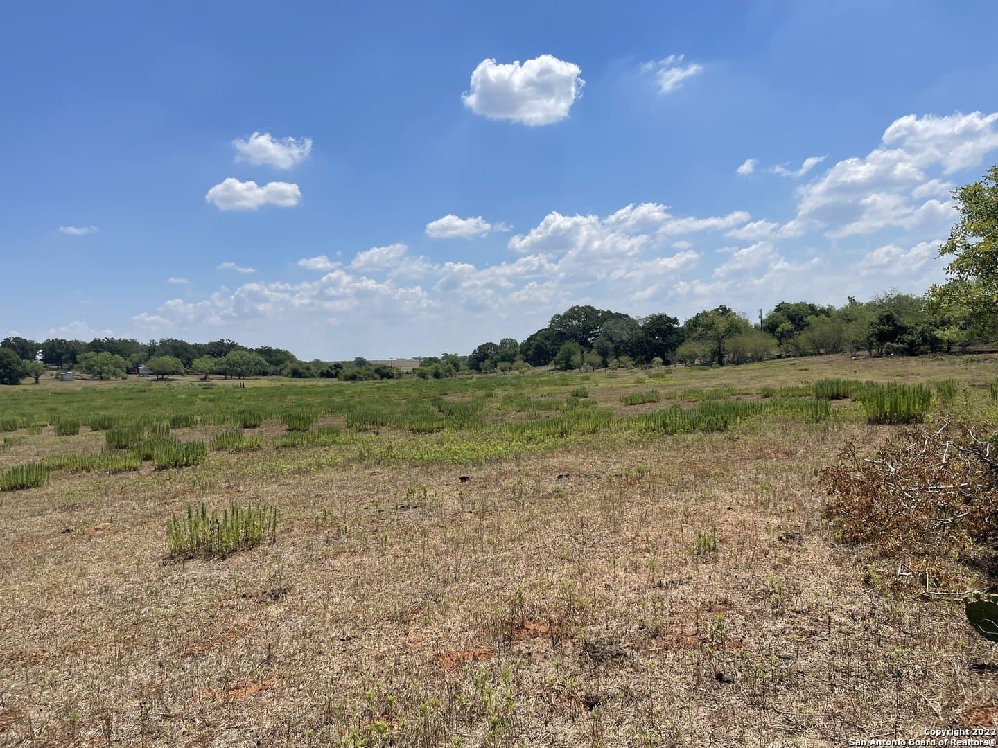 11 acres in Wilson County - photo 16