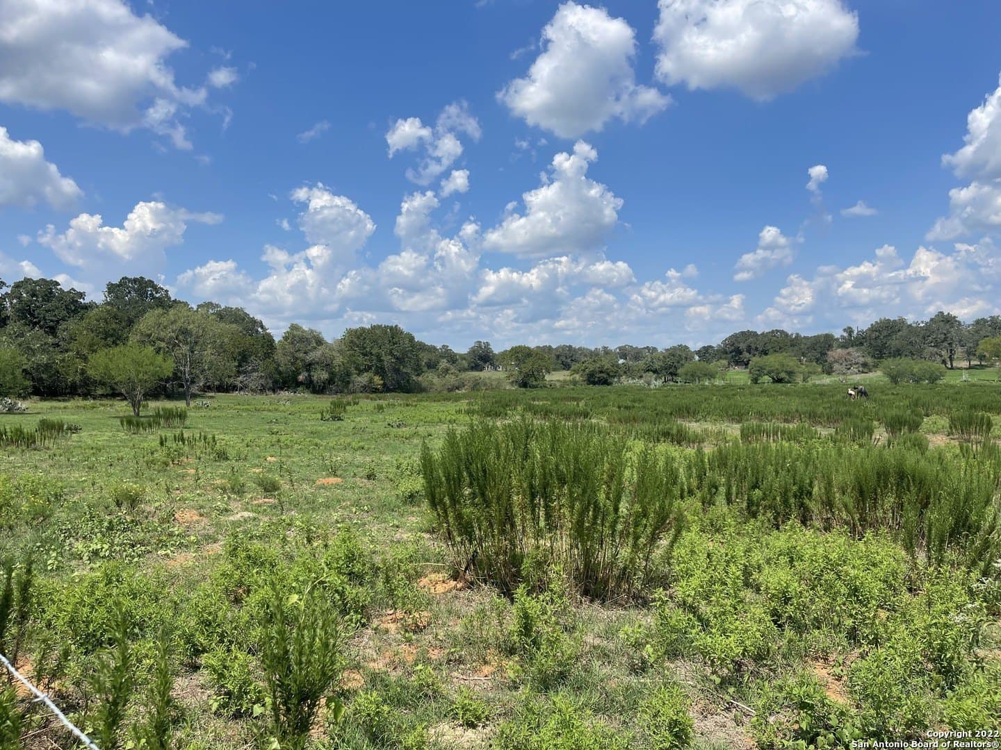 11 acres in Wilson County - photo 2