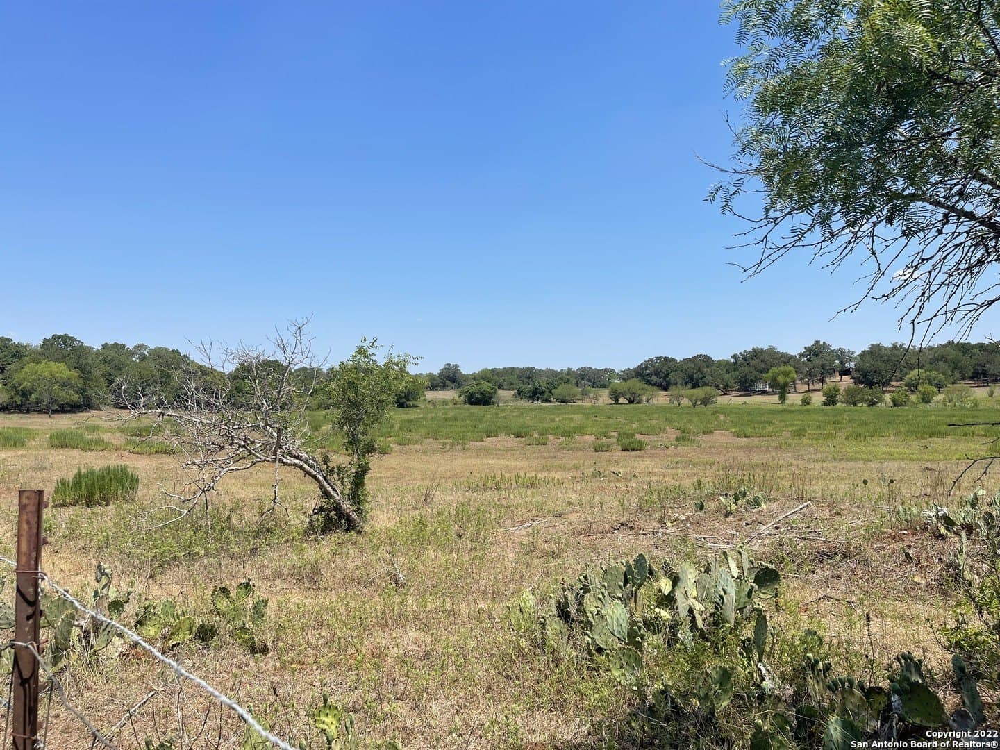 11 acres in Wilson County - photo 10