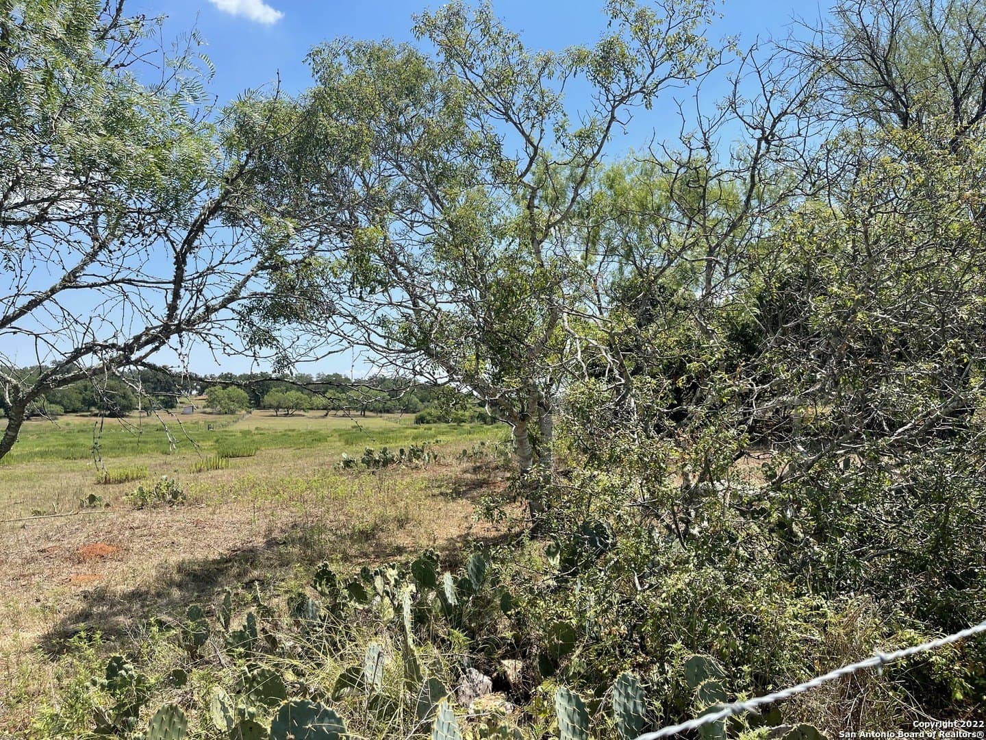 11 acres in Wilson County - photo 9