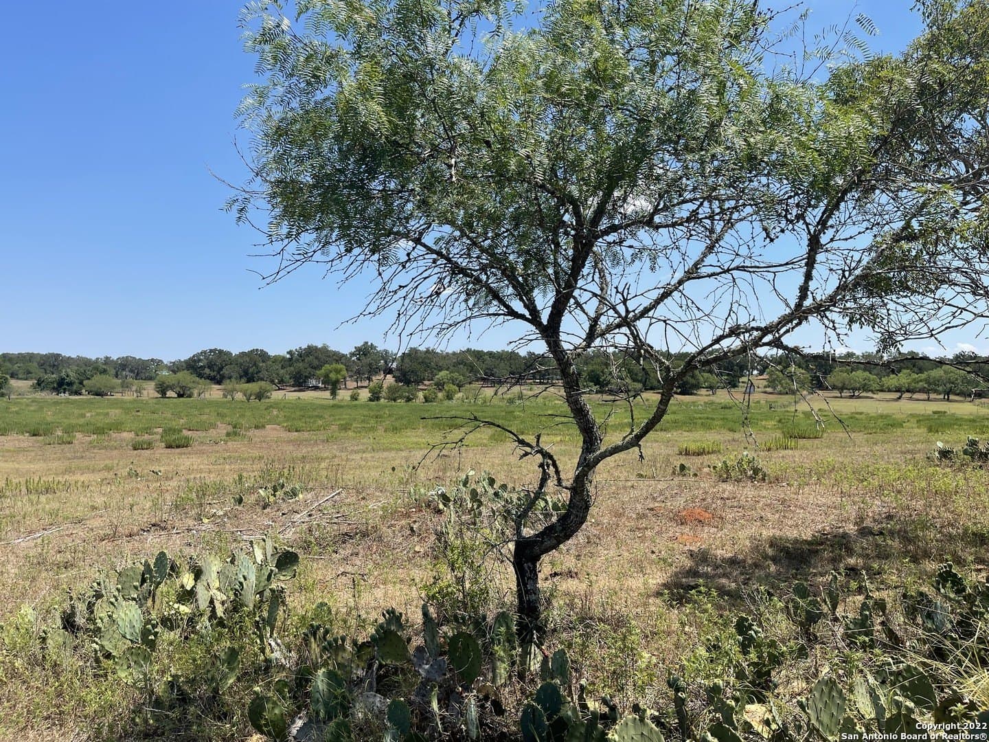 11 acres in Wilson County - photo 8