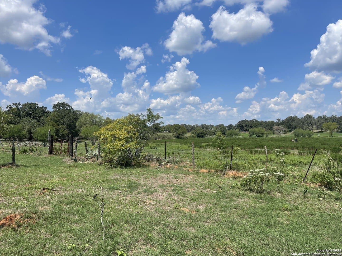 11 acres in Wilson County - photo 6