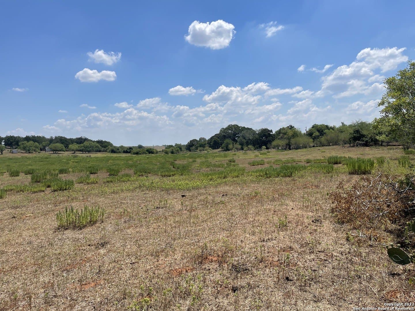 11 acres in Wilson County - photo 17