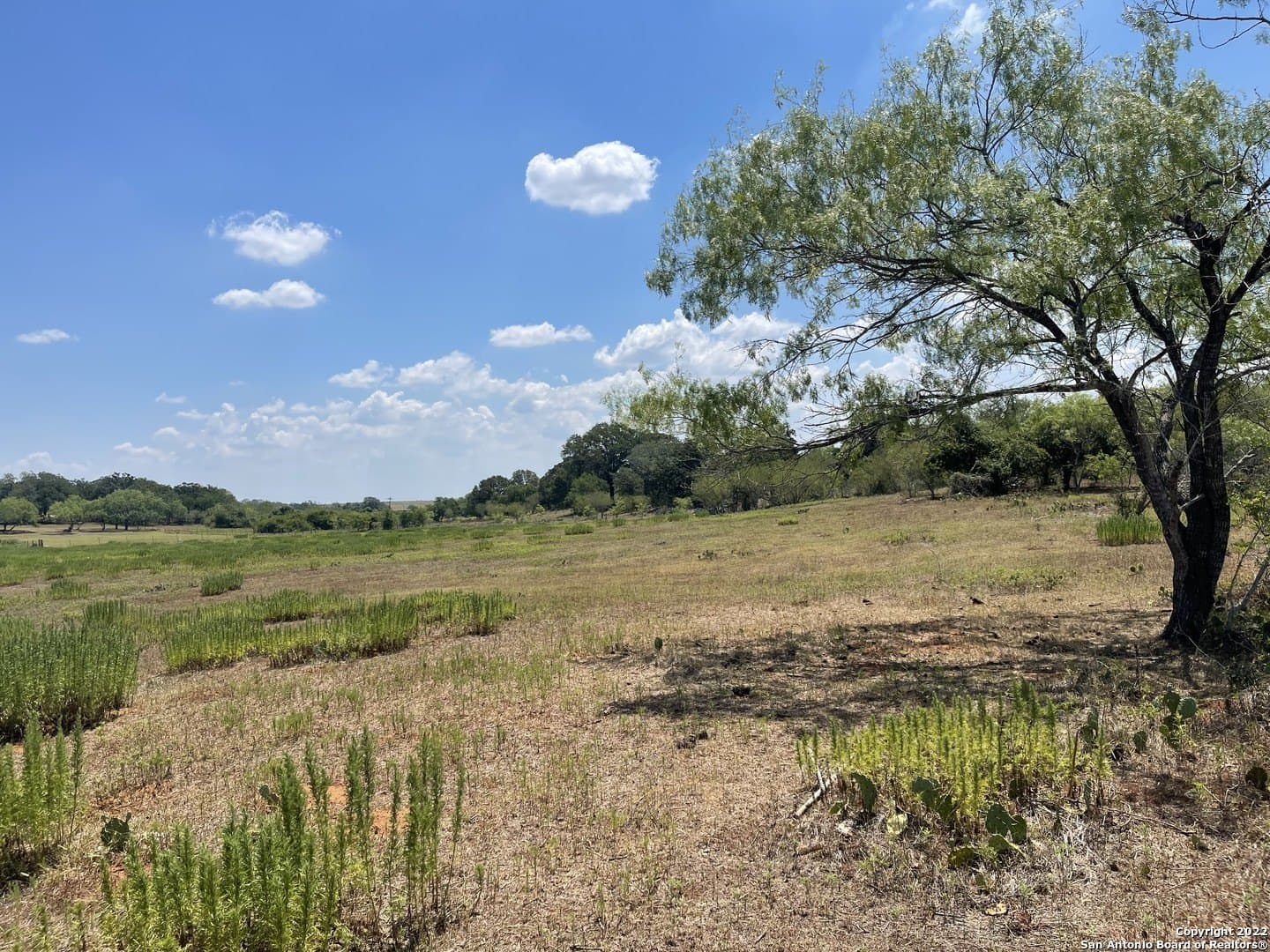 11 acres in Wilson County - photo 19