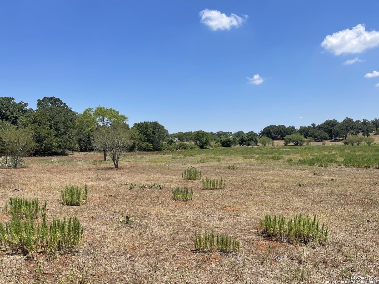 11 acres in Wilson County - photo 18