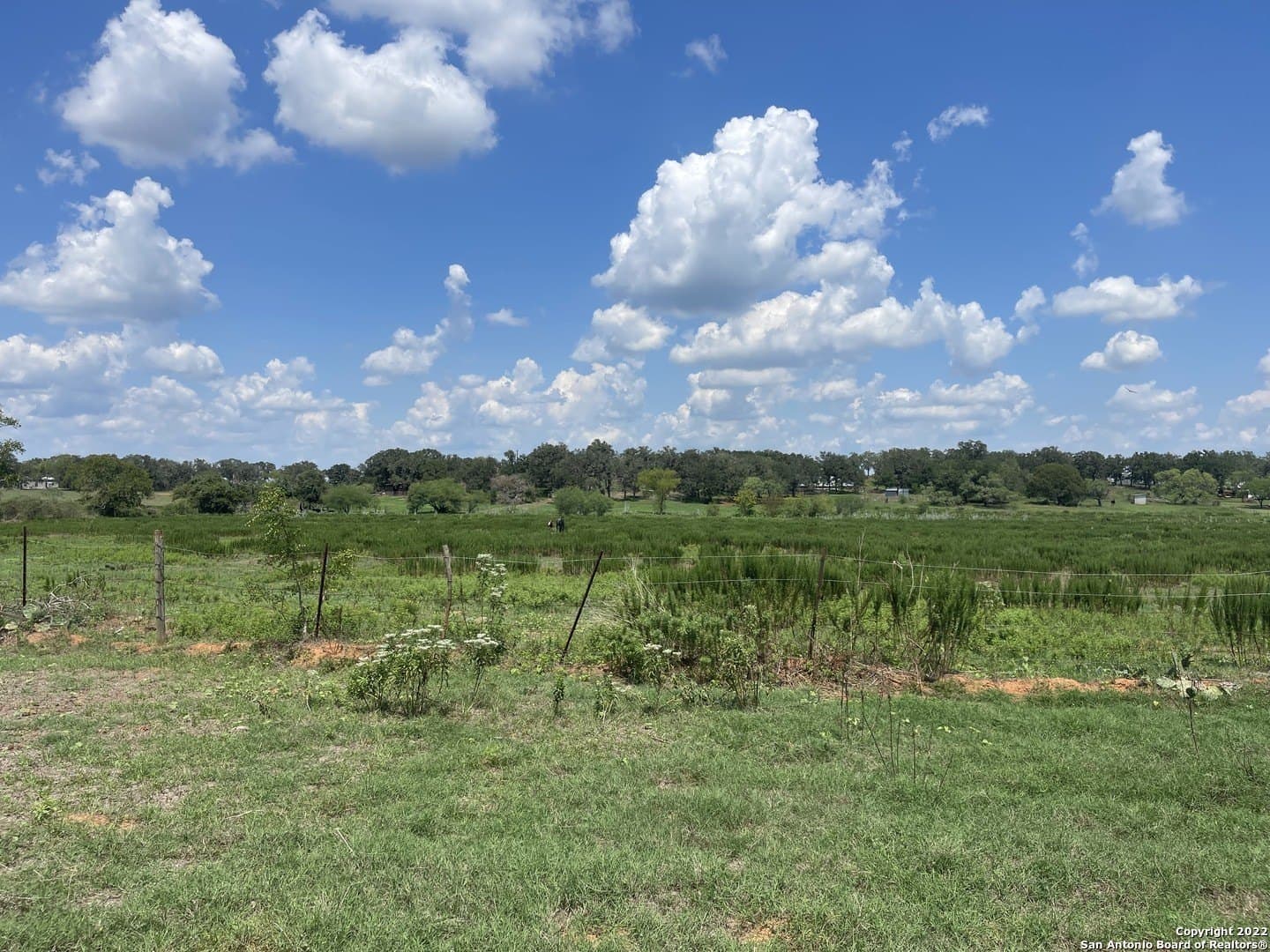 11 acres in Wilson County - photo 7
